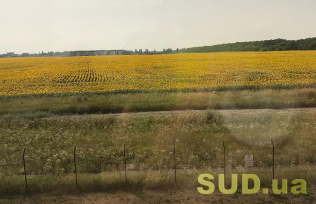 Слуги народу хочуть уточнити критерії набуття у власність земельних ділянок с/г призначення