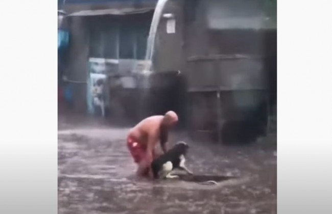 Киевлянин спас собаку во время потопа, видео