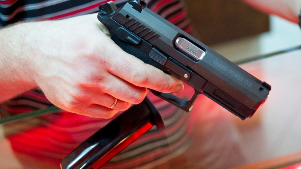 В конституции Чехии закрепят право граждан защищать свою жизнь с оружием