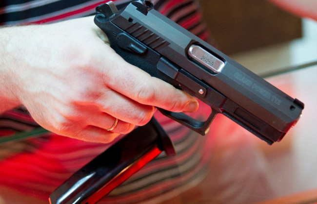 В конституции Чехии закрепят право граждан защищать свою жизнь с оружием