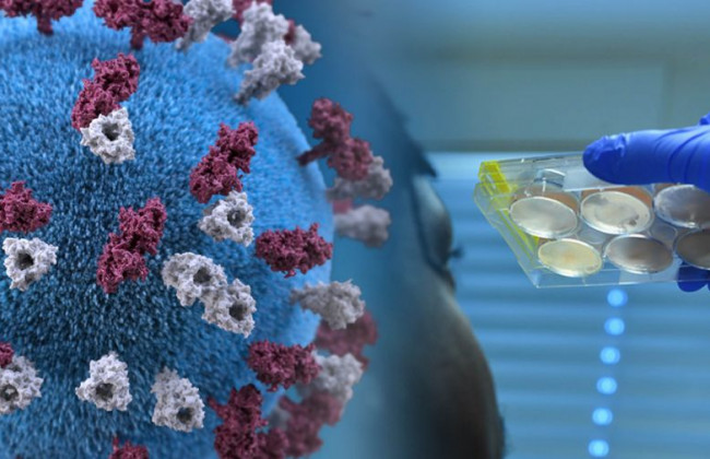 Последствия коронавируса: у каждого пятого наблюдаются поражения органов