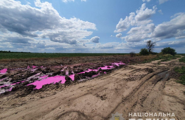 Рожеві калюжі між полями Рівненщини: відкрито кримінальне провадження