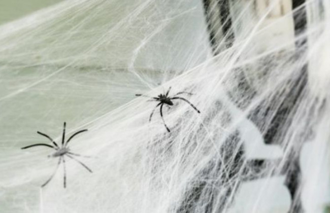 Медузы и комары уже в прошлом: в Кирилловке началось новое нашествие, видео