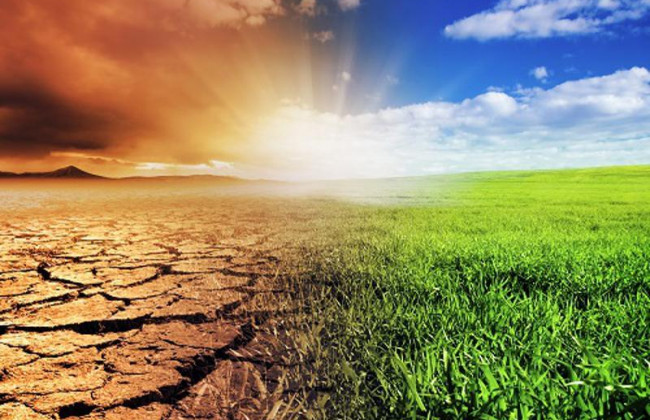 Страны G-20 не смогли договорится о важных климатических вопросах