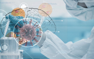 Как коронавирус проникает в мозг зараженного человека