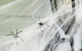 Медузы и комары уже в прошлом: в Кирилловке началось новое нашествие, видео