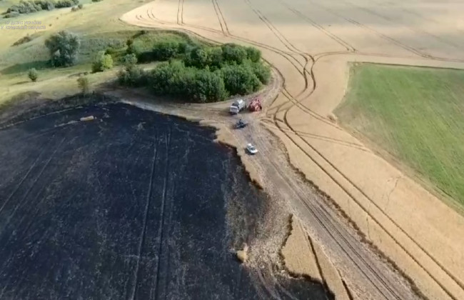 Масштабна пожежа: на Сумщині горіло пшеничне поле