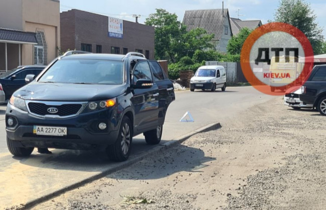 В Киеве водитель сбил бабушку с собачкой