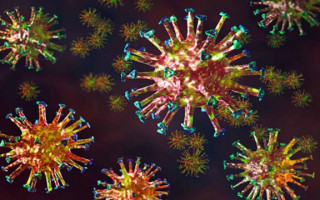 Стало известно, что коронавирус снижает интеллект у зараженных