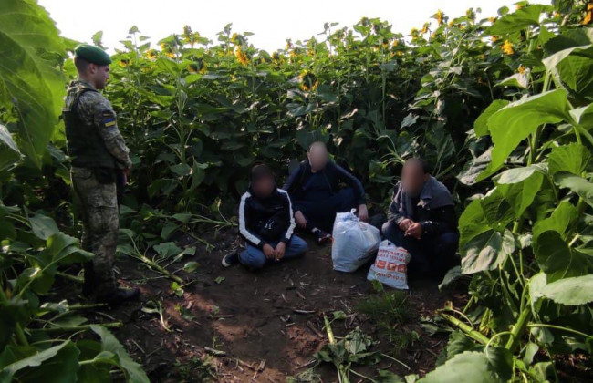 Прикордонники зловили кримінальних авторитетів, які ховались у соняшниках на кордоні з РФ