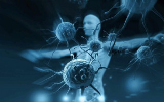 У кого более длительный иммунитет к коронавирусу: у детей или взрослых