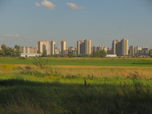 Приватники захопили заказник вартістю понад 2,5 млрд грн: прокуратура вимагає повернення земель