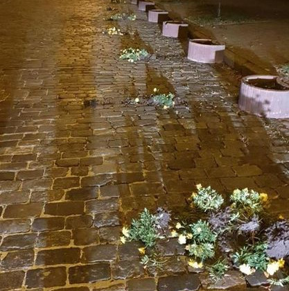 В Киеве вандал устроил погром на Аллее Героев Небесной сотни