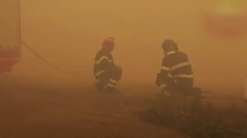 В Италии горят леса: пожар нанес невосполнимый ущерб