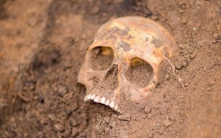 В Киеве рабочие случайно нашли человеческие останки