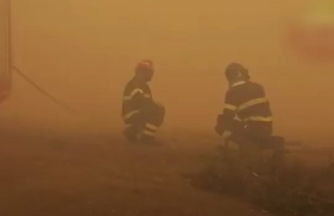 В Италии горят леса: пожар нанес невосполнимый ущерб