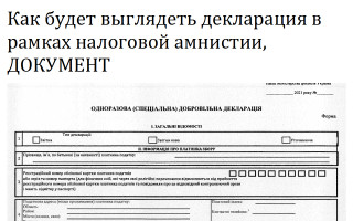 Как будет выглядеть декларация в рамках налоговой амнистии, ДОКУМЕНТ