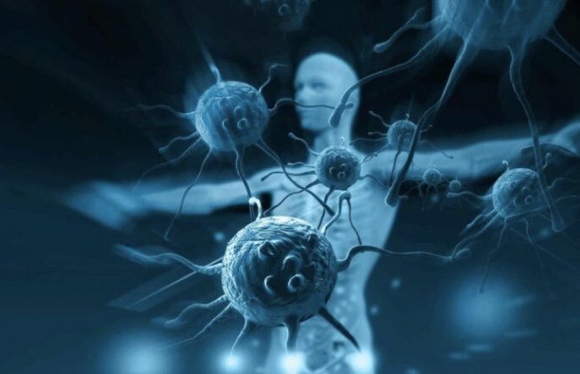 У кого более длительный иммунитет к коронавирусу: у детей или взрослых