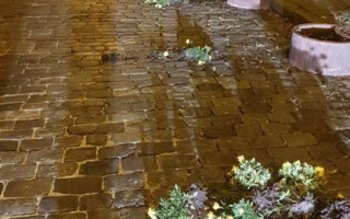 В Киеве вандал устроил погром на Аллее Героев Небесной сотни