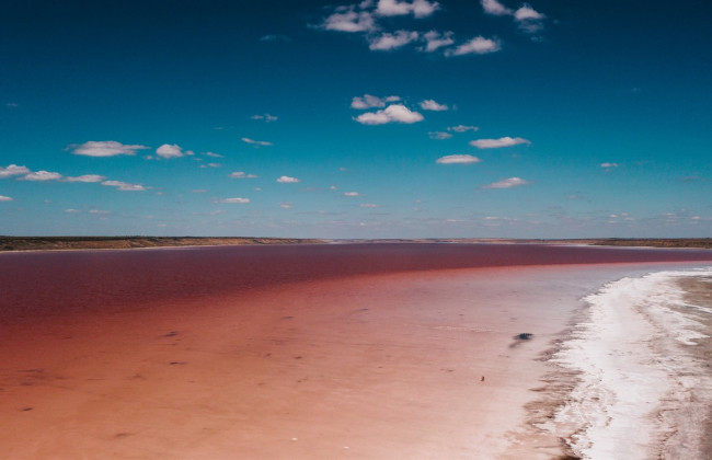 На Одещині створять національний природний парк «Куяльницький»
