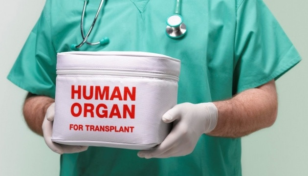 Лікар у законі: чи карають лікарів за порушення порядку трансплантації органів