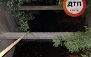 В Киеве в реке Лыбедь нашли труп мужчины
