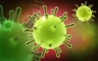 Новый штамм «Лямбда» более заразный, – ученые