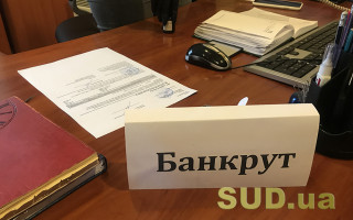 Справи про банкрутство: ВС висловився щодо змісту та умов субсидіарної відповідальності