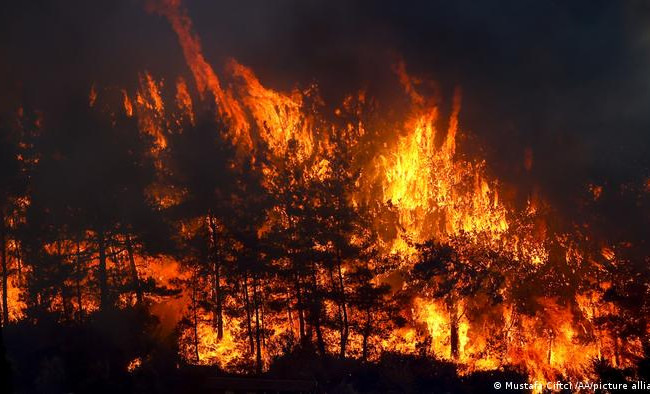 Пожары в Турции перекинулись на жилые районы: проходит эвакуация, есть жертвы, видео