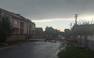 Поваленные деревья и сорванные крыши: на Прикарпатье бушевал сильный ветер, фото