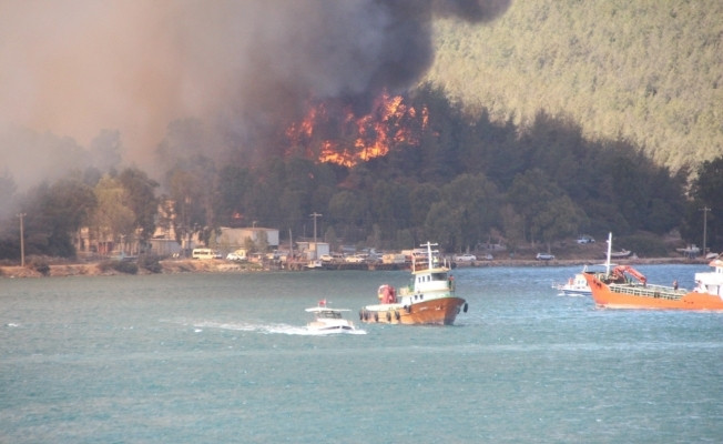 Пожары в Турции: украинцев призывают не ехать в охваченные огнем регионы