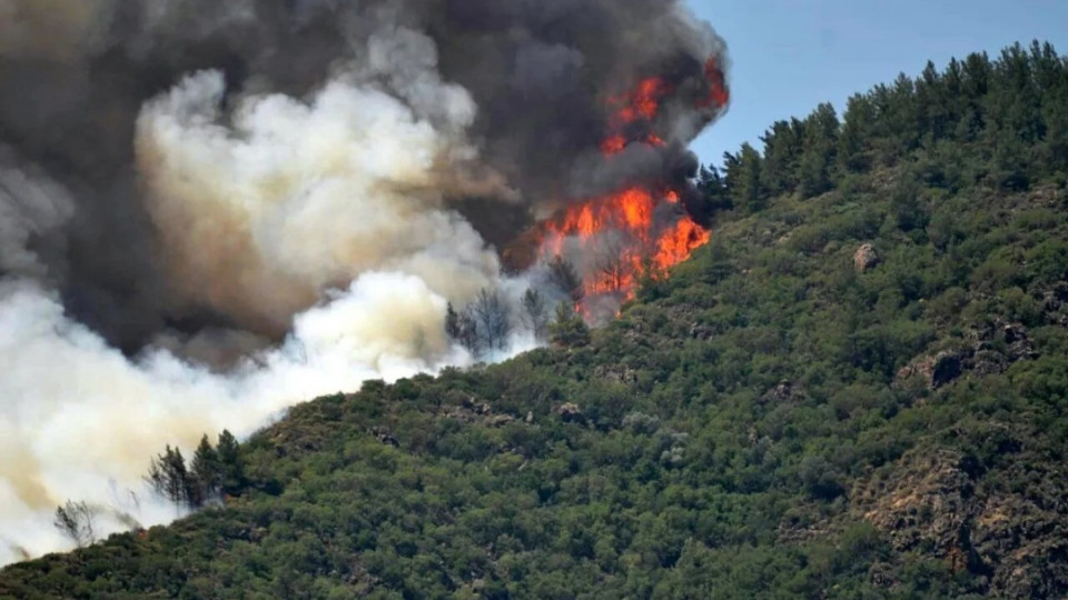 Пожары в Турции: Украина отправит самолет для борьбы с огнем