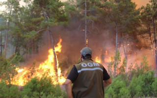 Турция в огне: украинские спасатели помогают бороться с пожарами