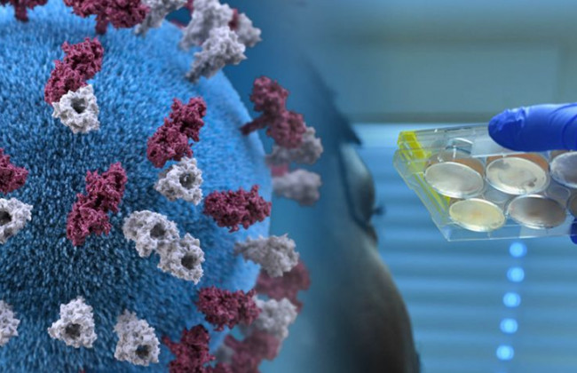 Ученые допустили вероятность появления штамма COVID-19 с большой смертностью