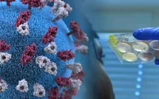 Ученые допустили вероятность появления штамма COVID-19 с большой смертностью