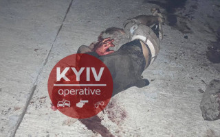 Под Киевом нашли окровавленного таксиста: подробности