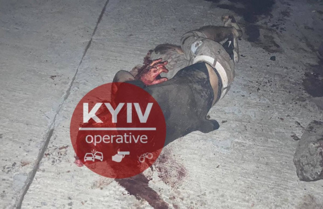 Под Киевом нашли окровавленного таксиста: подробности