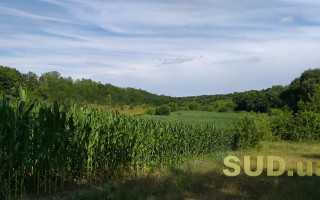 Встановлення меж земельної ділянки: що варто знати