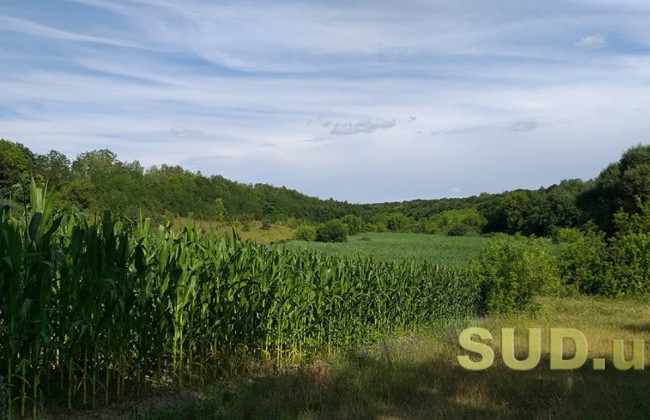 Встановлення меж земельної ділянки: що варто знати