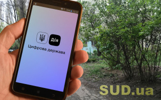 «Дія» запустила вебсайт для підприємців: що пропонують