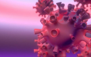 Создали самое эффективное средство против COVID-19