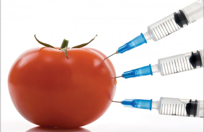 В Україні планують підвищити штрафи за нелегальне використання ГМО