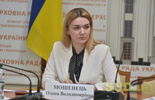 Реєстр олігархів має вести НАЗК, а не РНБО: депутат від «Слуги народу»