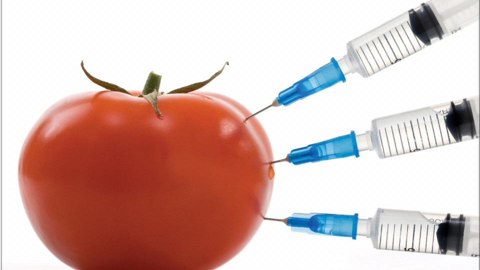 В Україні планують підвищити штрафи за нелегальне використання ГМО