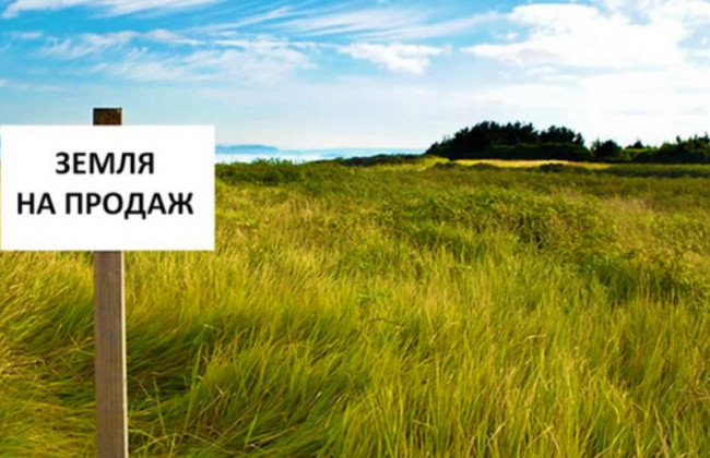 Земельна реформа: як реалізувати переважне право купівлі земельної ділянки