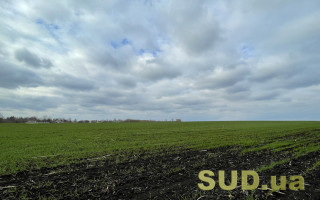 АПВУ надала Держгеокадастру пропозиції щодо процедури продажу земельних ділянок