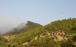 В Турции арестовали шесть человек за поджог лесов