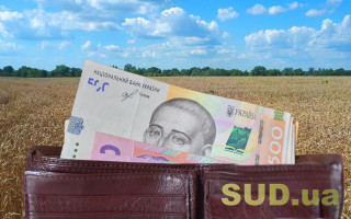 Податковий обов’язок щодо сплати за оренду земельної ділянки покладено на особу, яка визначена в договорі оренди: КАС ВС