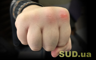 В центре Киева произошла массовая драка