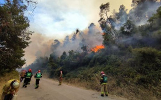 Пожары в Греции: за ночь эвакуировали более 20 населенных пунктов